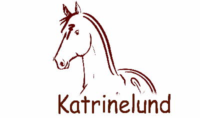 nyt-katrinelund-logo2013